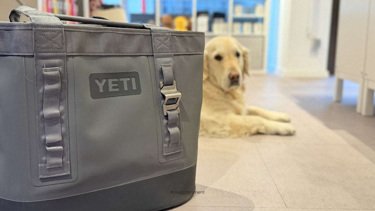 Dein neuer Begleiter: Die YETI Camino Carryall