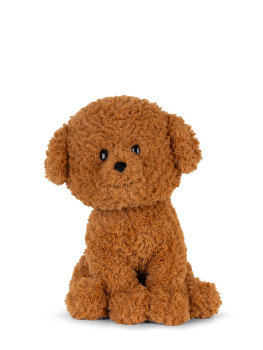 Stacy the Labradoodle 18 cm (Giftbox)