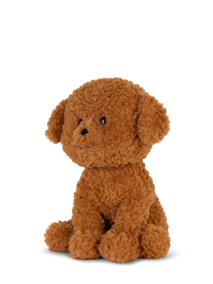 Stacy the Labradoodle 18 cm (Giftbox)