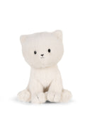 Dolly the Ragdoll ECO 18 cm