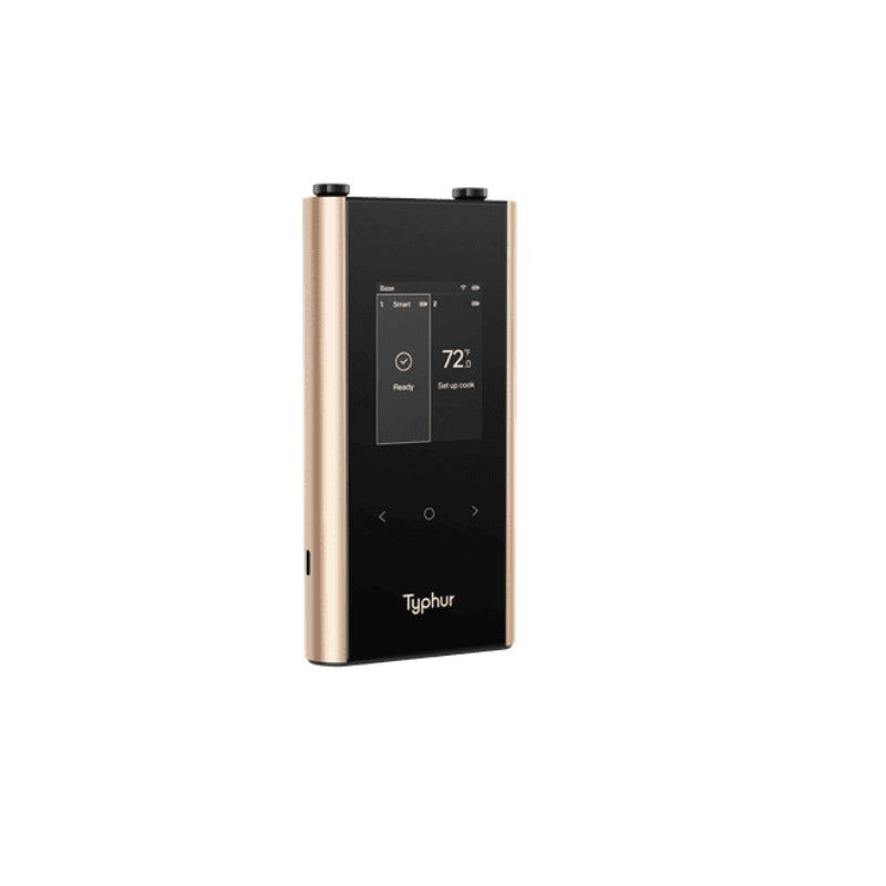 Typhur Sync Gold Dual Wireless Thermometer