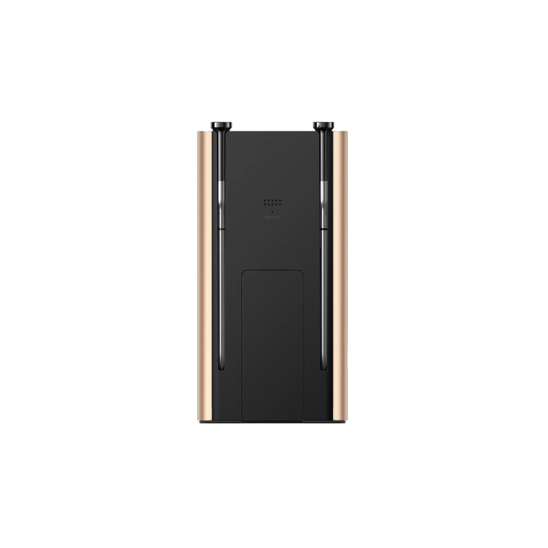 Typhur Sync Gold Dual Wireless Thermometer
