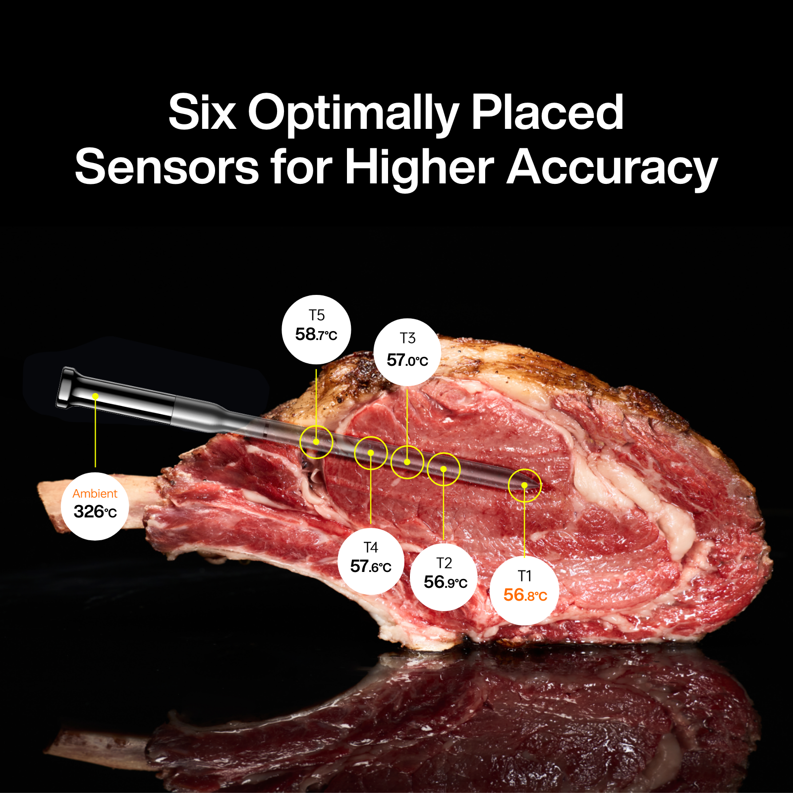 Typhur Sync Gold Dual Wireless Thermometer