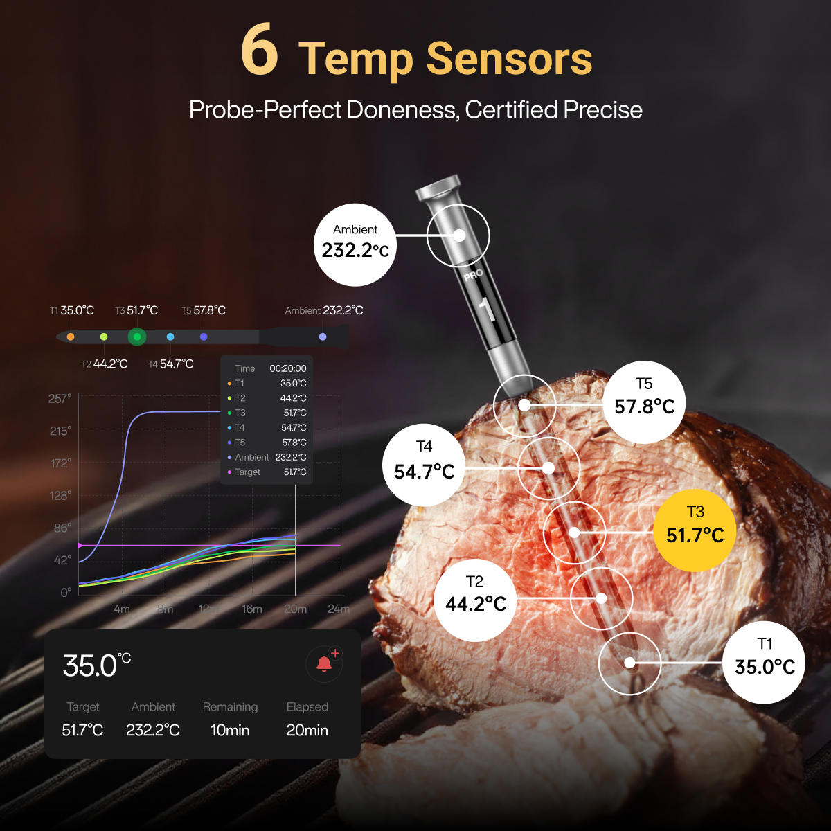 Typhur Sync Gold Lite Wireless Thermometer