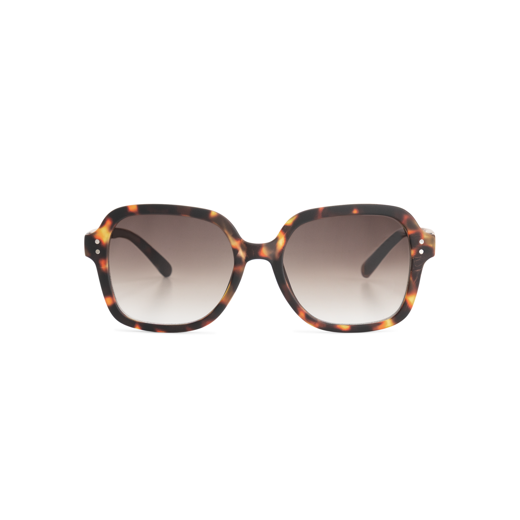 Looplabb Amsterdam Colette Sonnen-Lesebrille