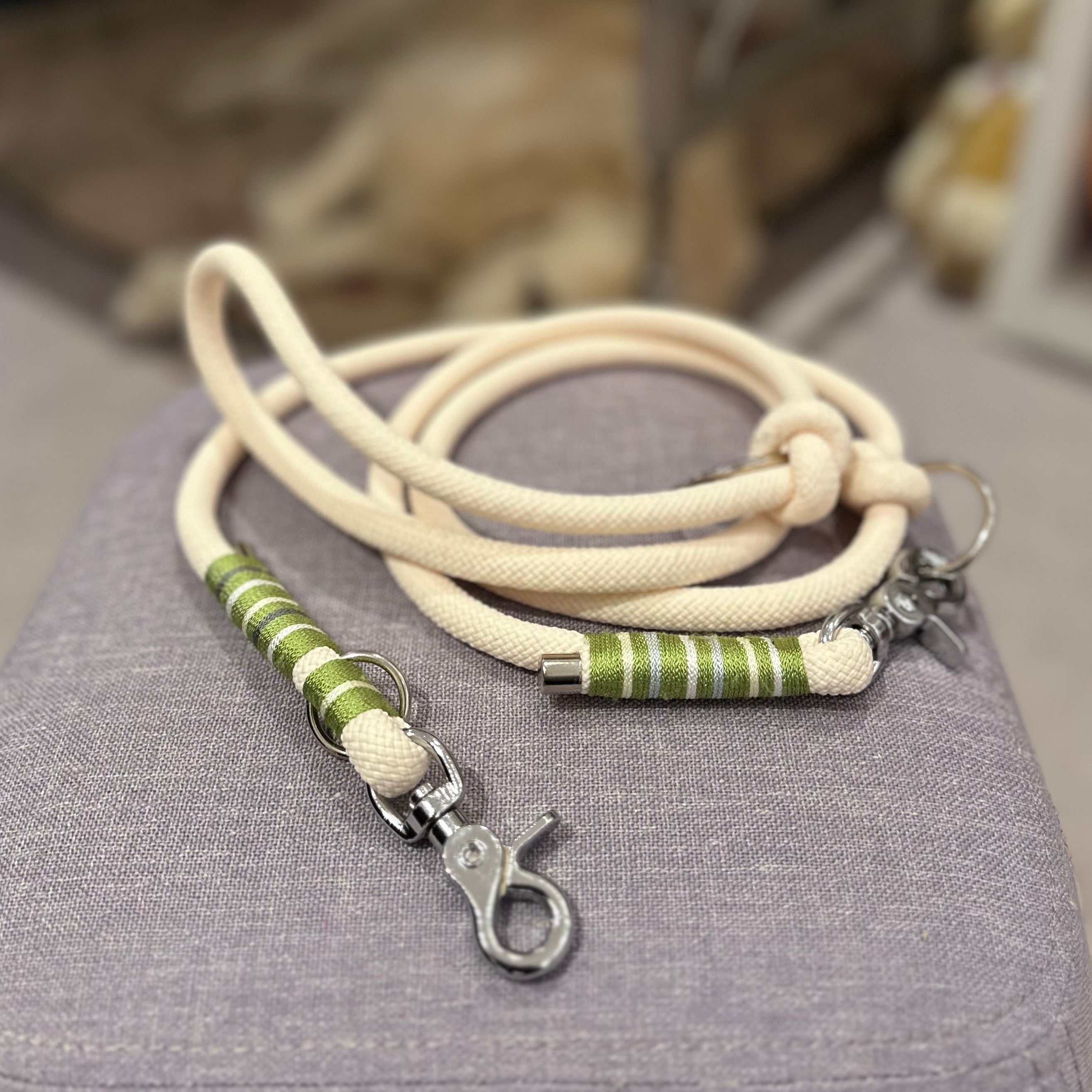 Hundeführleine (Hundeleine)