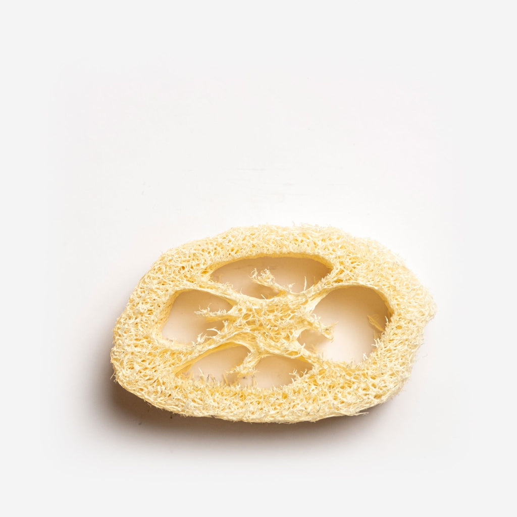 Luffa Seifenablage (Luffagurke)