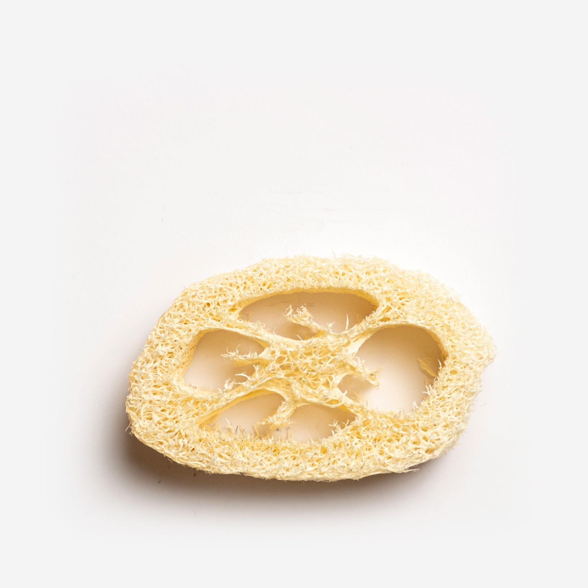 Luffa Seifenablage (Luffagurke)