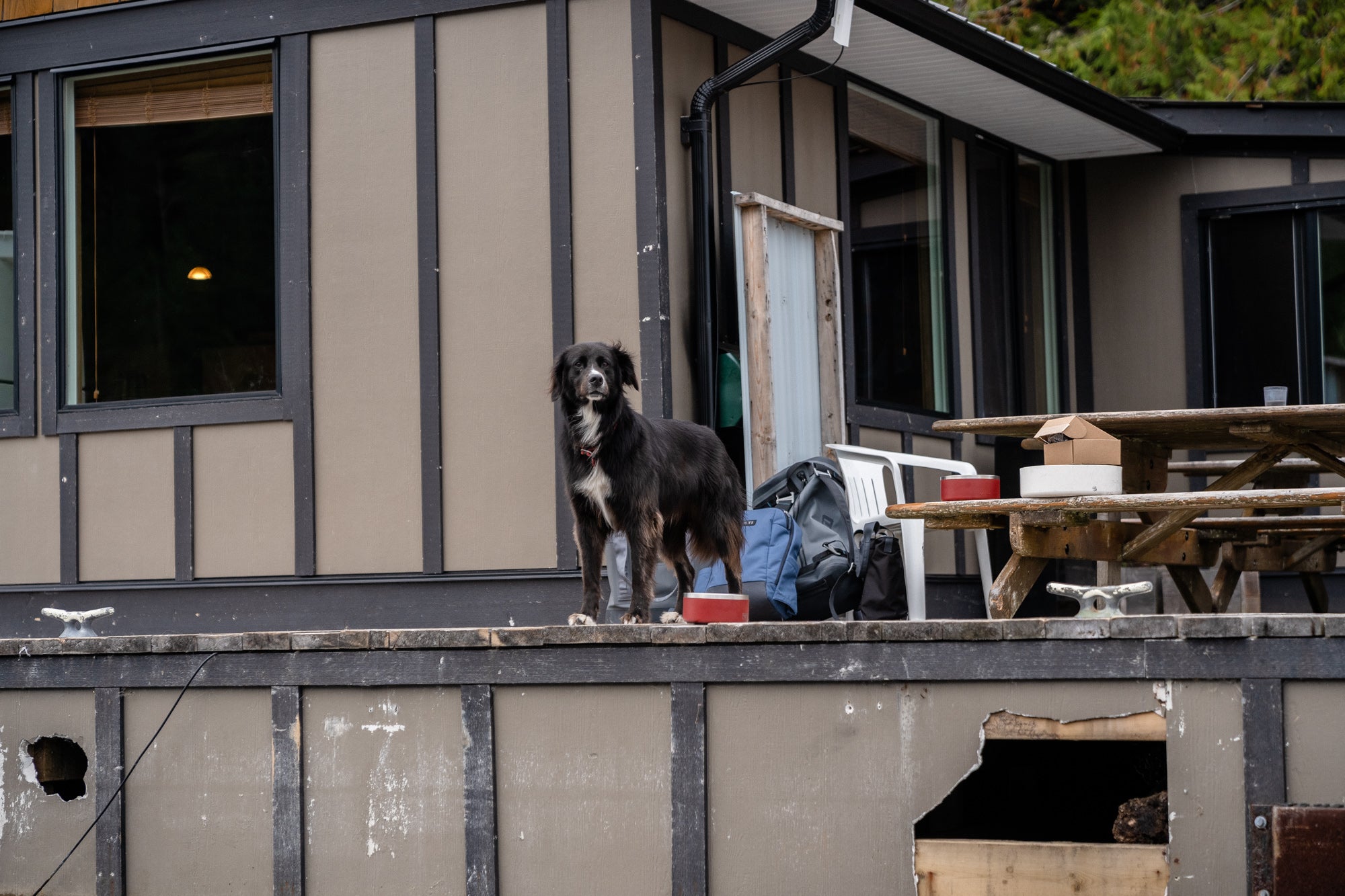 YETI Boomer 8 Dog Bowl