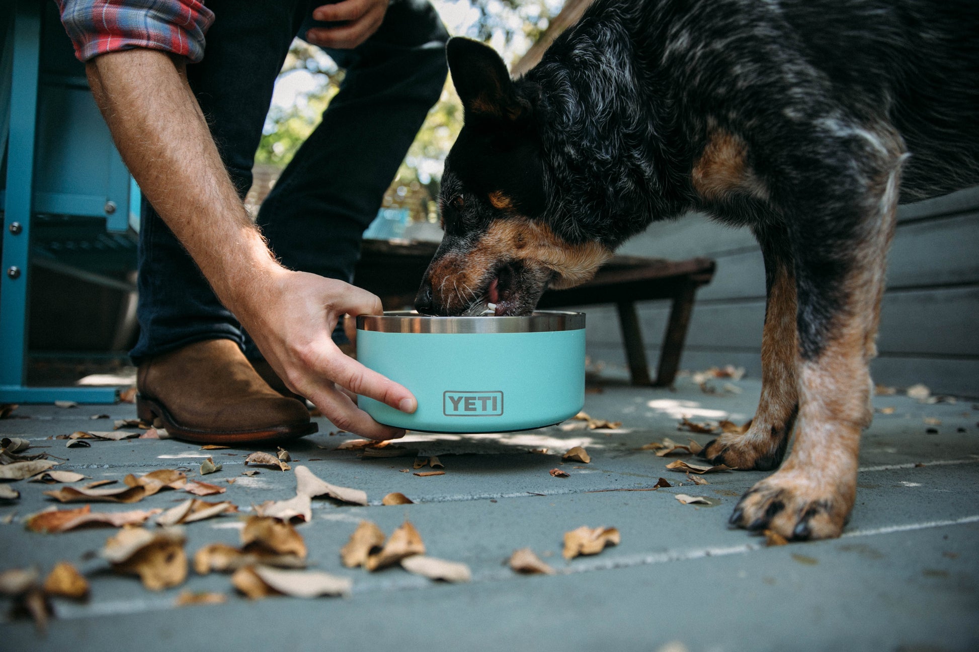 Boomer 8 Dog Bowl
