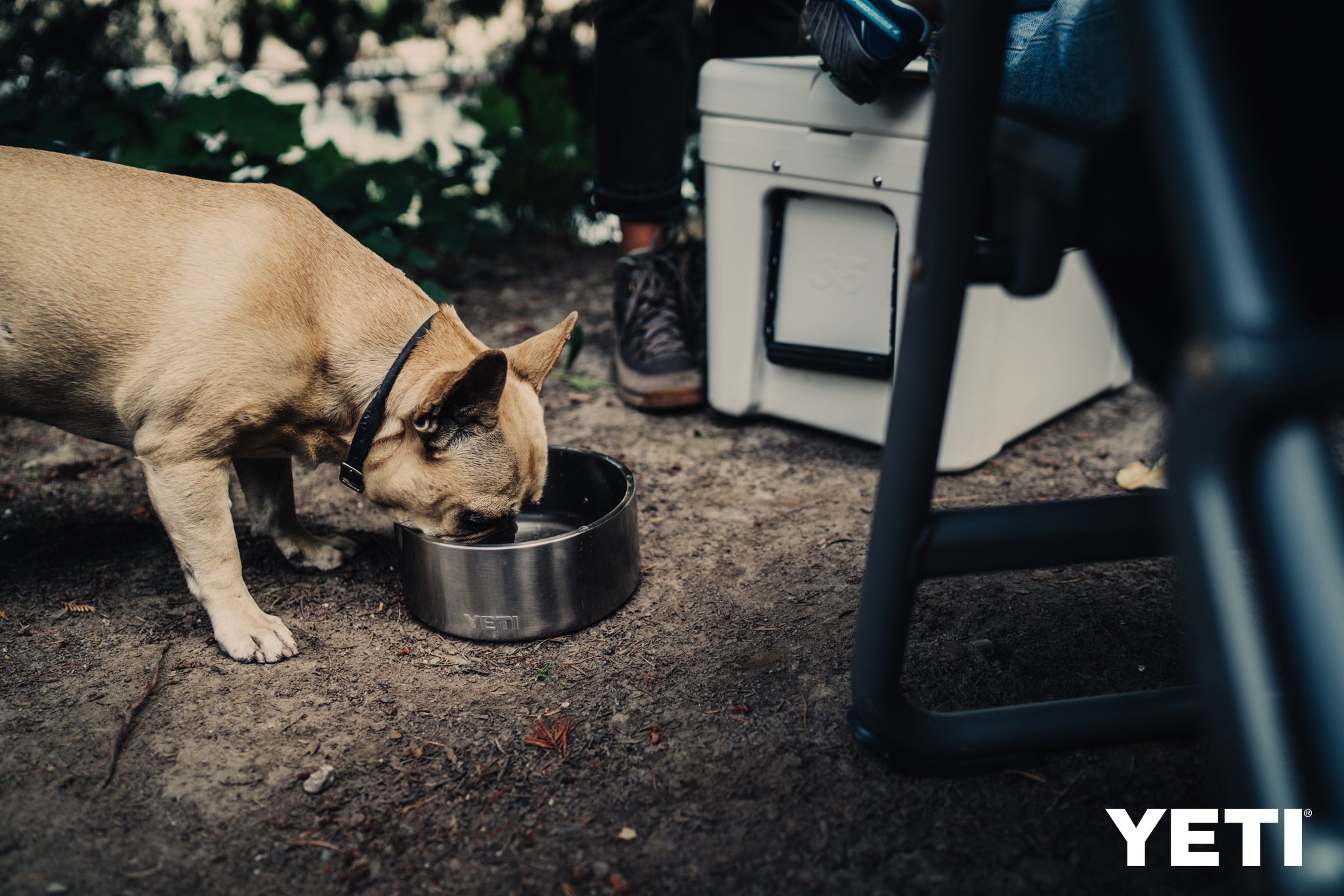 YETI Boomer 8 Dog Bowl