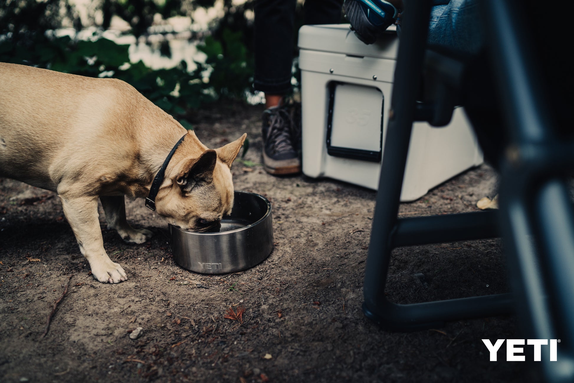Boomer 8 Dog Bowl