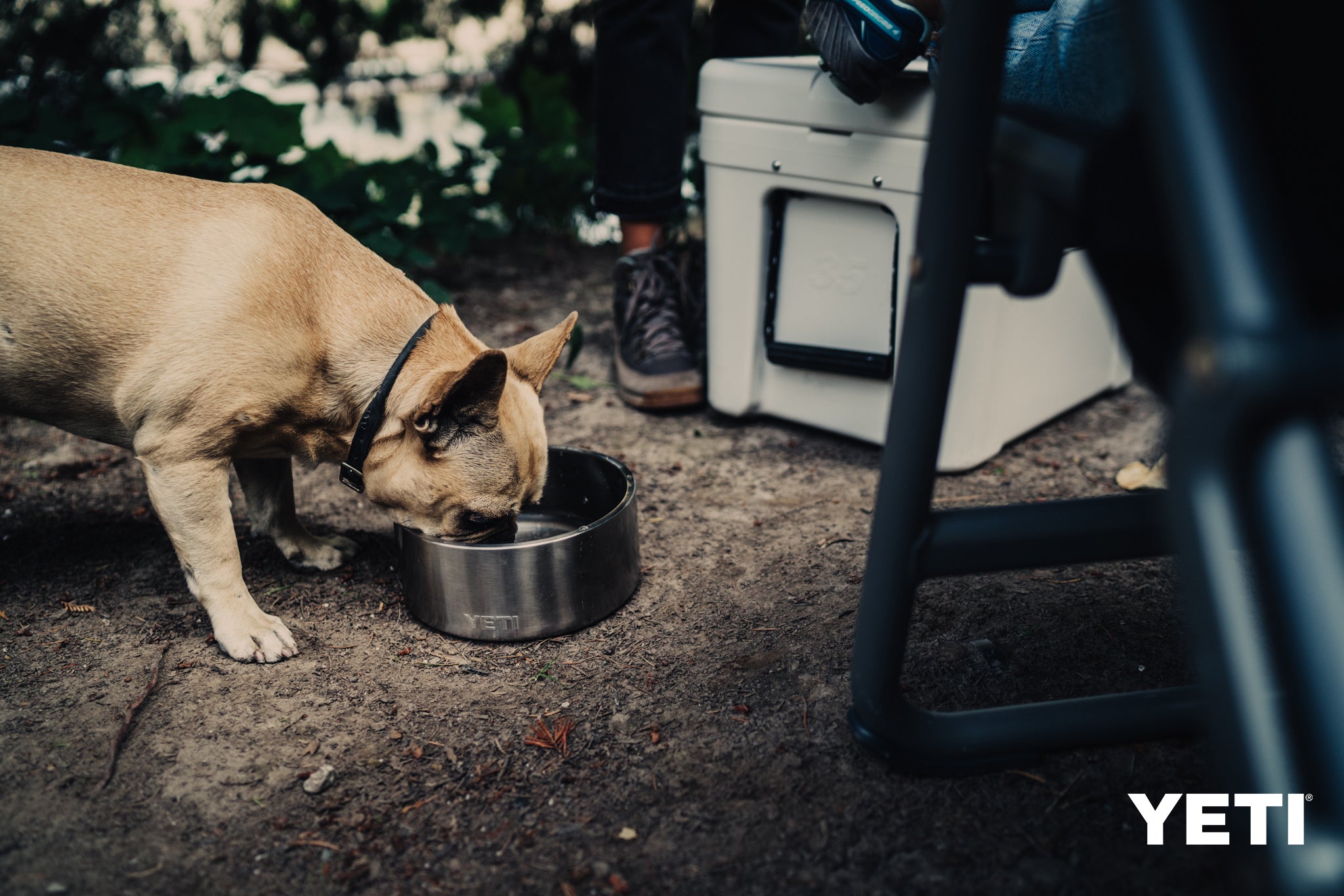 YETI Boomer 8 Dog Bowl