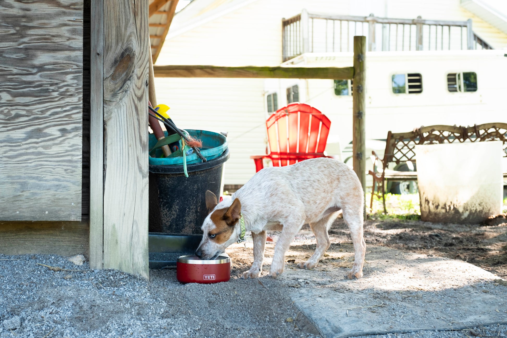 Boomer 8 Dog Bowl