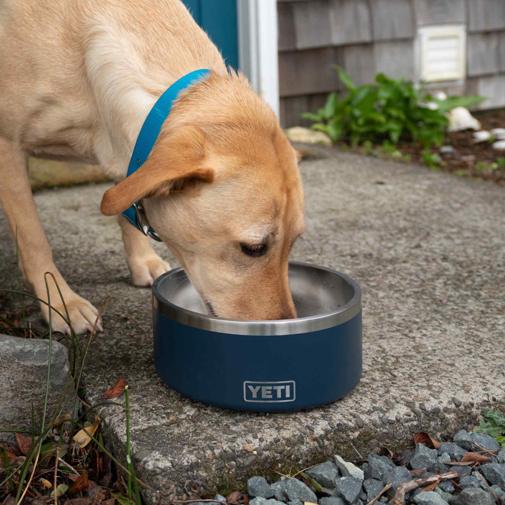 Boomer 8 Dog Bowl