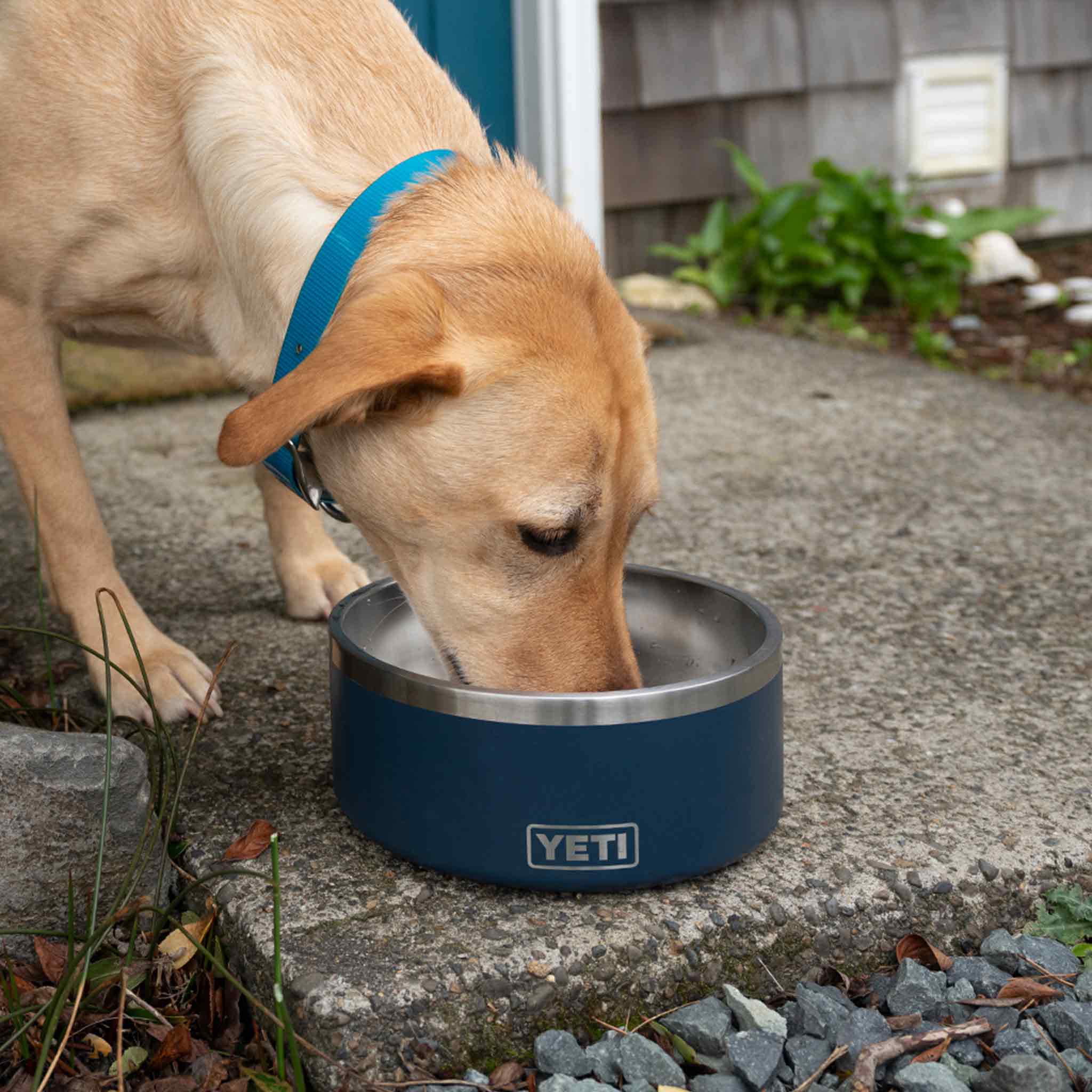 YETI Boomer 8 Dog Bowl