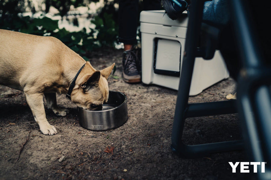 YETI Boomer 8 Dog Bowl