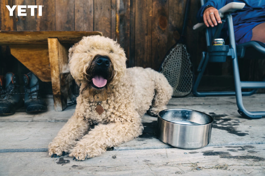 Boomer 8 Dog Bowl